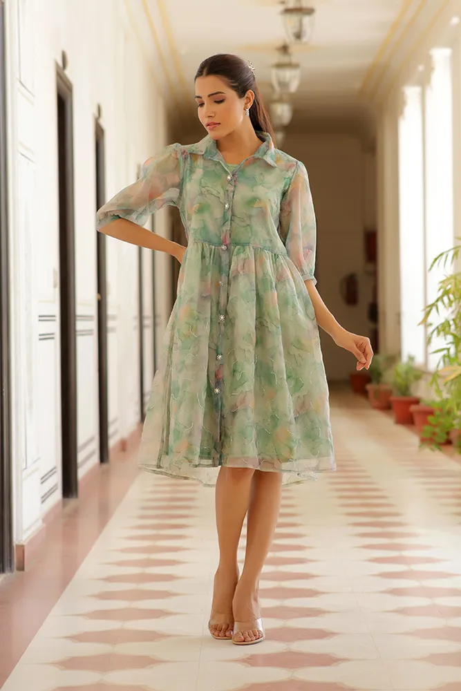 Vaasva Women Green Organza Marble Printed Dress