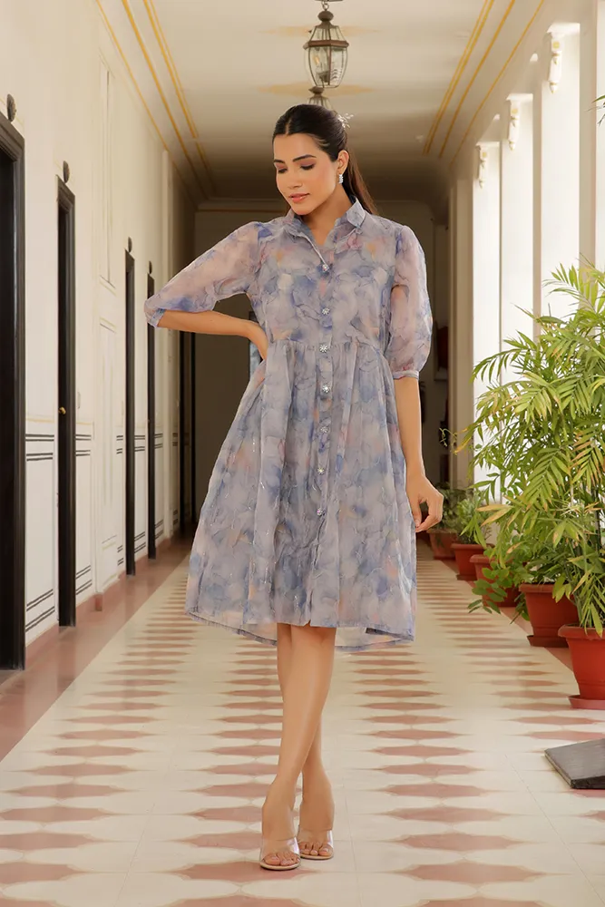 Vaasva Women Sky Blue Organza Marble Printed Dress